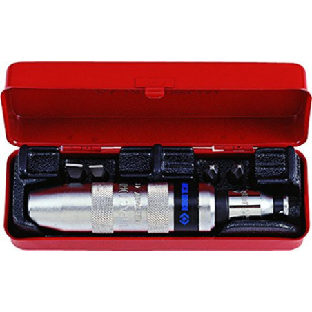 Punch Screwdriver Set & Accessoires - 6 Stukken - 4112en