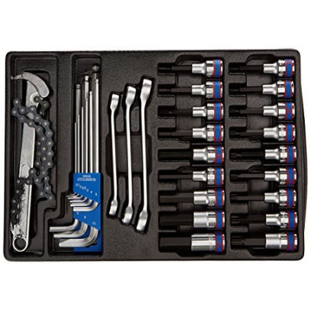 Thermoformé de clés et de douilles tournevis Torx et 6 Pans - 31 p - 990131mr