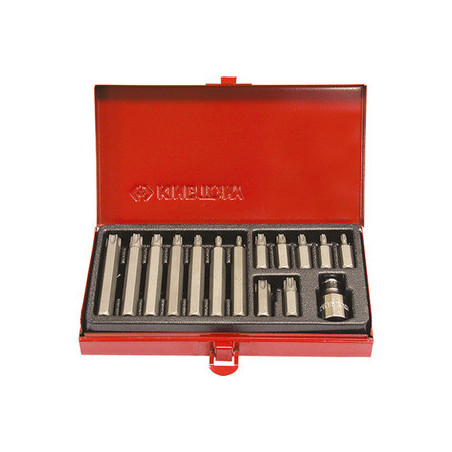 10mm Torx-Schraubendreher-Bits (15-teiliges Set) – 1015PQ