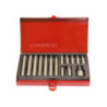 Embouts tournevis Torx 10 mm (coffret de 15 pièces) - 1015PQ