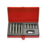 Punte per cacciavite XZN da 10mm (set da 11 pezzi) - 1011MQ
