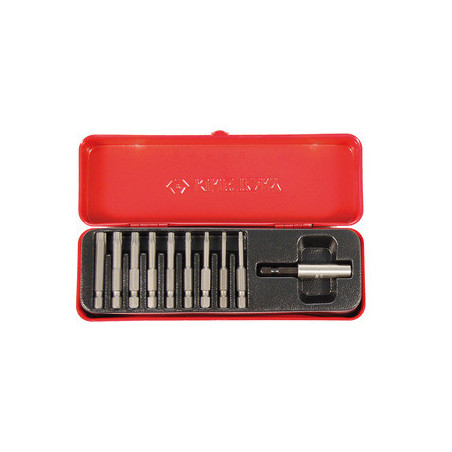 Punte per cacciavite scanalati da 1/4" (set da 10 pezzi) - 1010PQ01