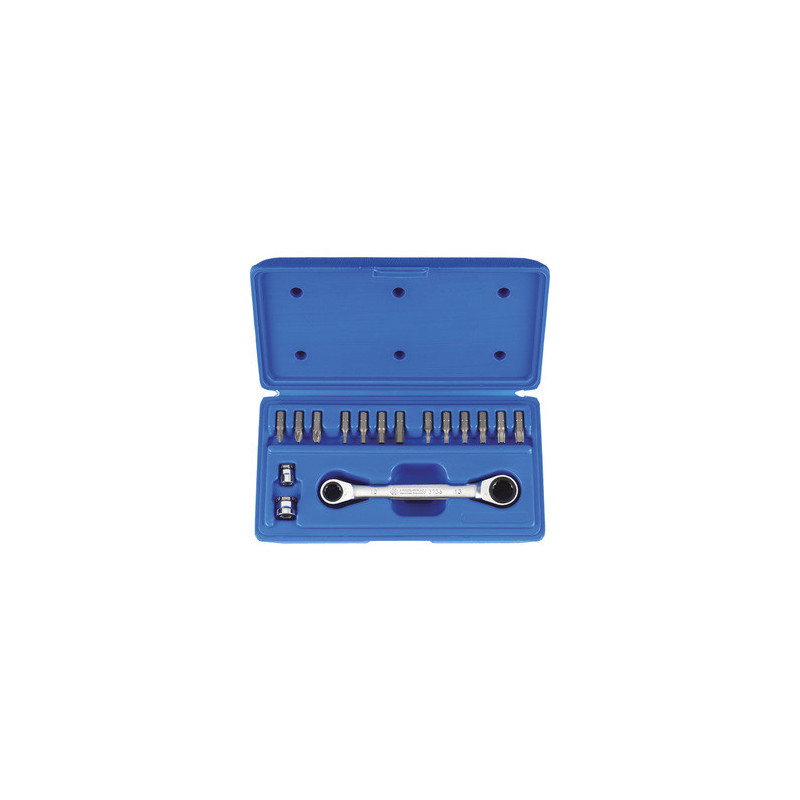 Metrische polygoon ratel combinatiesleutel set met bitsets Schroevendraaier - 16 stukken - 1014CQ
