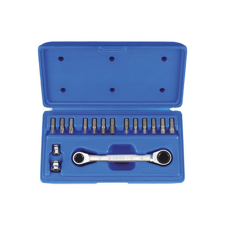 Set di chiavi combinate a cricchetto poligonale metrico con set di frese Cacciavite - 16 pezzi - 1014CQ