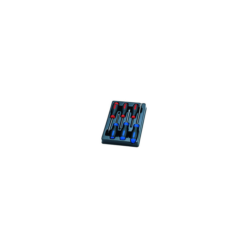 Destornillador ranurado termoformado y Phillips - 6 piezas - 931106MR