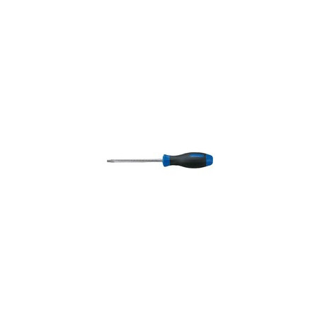 Tournevis Torx inox t40 - 14234006k