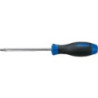 Tournevis Torx inox t40 - 14234006k