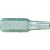 Punte per cacciavite Torx t10 - 102510t