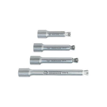 Prolunga multifunzione 1/4" (6,35 mm) 100 mm - 229304