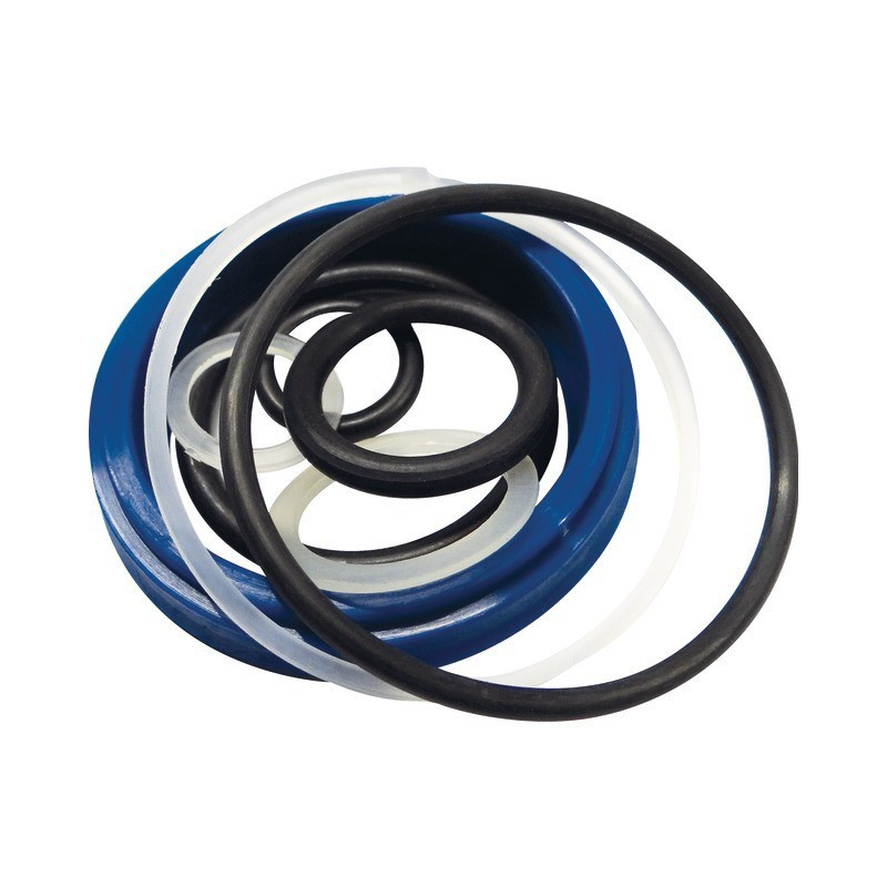 KIT GUARNIZIONE DI PRESSIONE 10T T51003