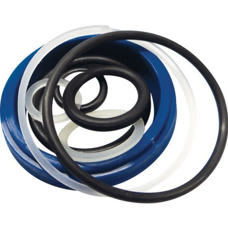 KIT GUARNIZIONE DI PRESSIONE 10T T51003