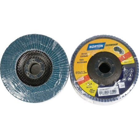 DISQUE À LAMELLES BOMBÉ 125 MM GRAIN 40 BLUE PRO