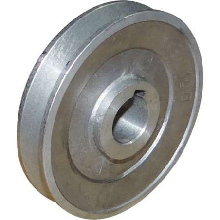 D100-MOTORRIEMENRIEMENROLLE BOHRUNG 24 - 1SPA VF305