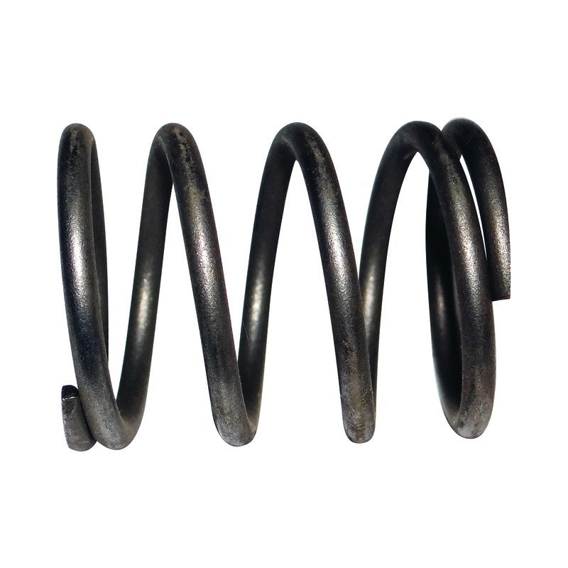 PRIMAVERA PER LA I-65