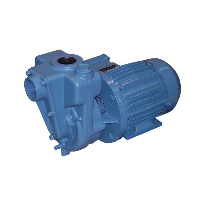 GIETIJZEREN POMP AUTOA 25M3U 400V