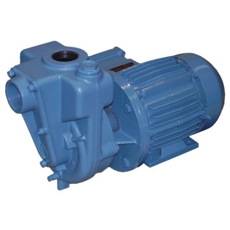 GIETIJZEREN POMP AUTOA 25M3U 400V