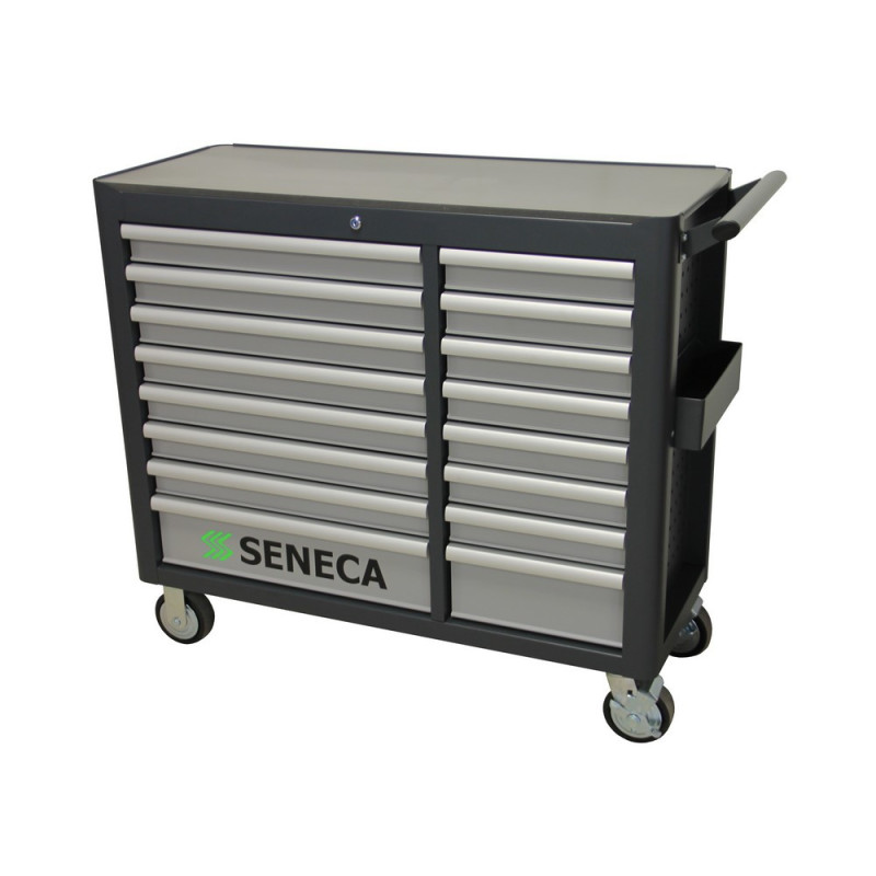 Chariot à Outils Professionnel avec 16 tiroirs pour bricoleurs passionnés et professionnels exigeants.