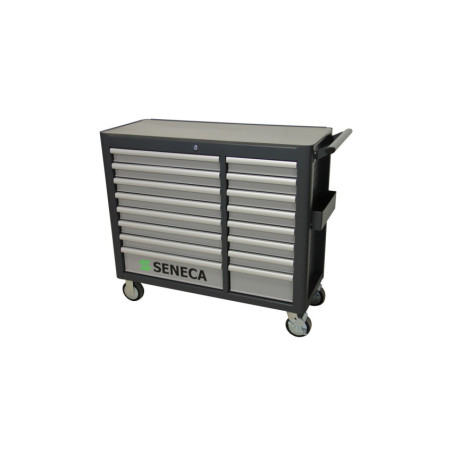 Chariot à Outils Professionnel avec 16 tiroirs pour bricoleurs passionnés et professionnels exigeants.