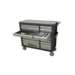 Chariot à Outils Professionnel : 16 tiroirs pour bricoleurs et professionnels exigeants.