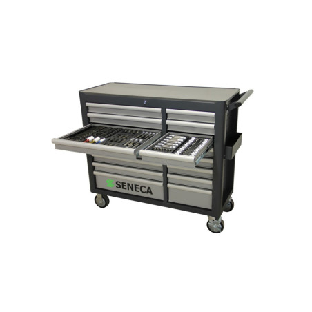 Chariot à Outils Professionnel : 16 tiroirs pour bricoleurs et professionnels exigeants.