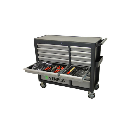 Chariot à Outils Professionnel - 16 tiroirs sécurisés pour bricoleurs exigeants.