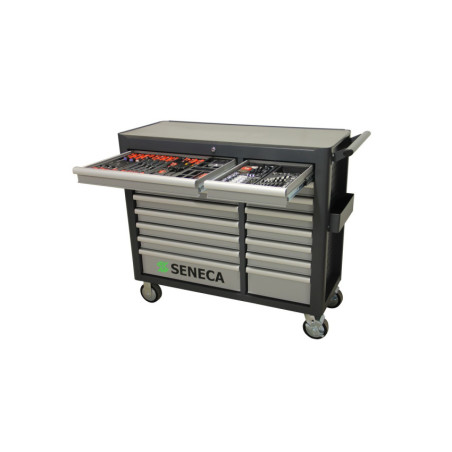 Chariot à Outils Professionnel avec 16 tiroirs pour bricoleurs exigeants et professionnels.