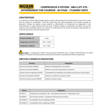 Powerful NUAIR 5.5 HP piston compressor with 270-liter tank for industrial use.